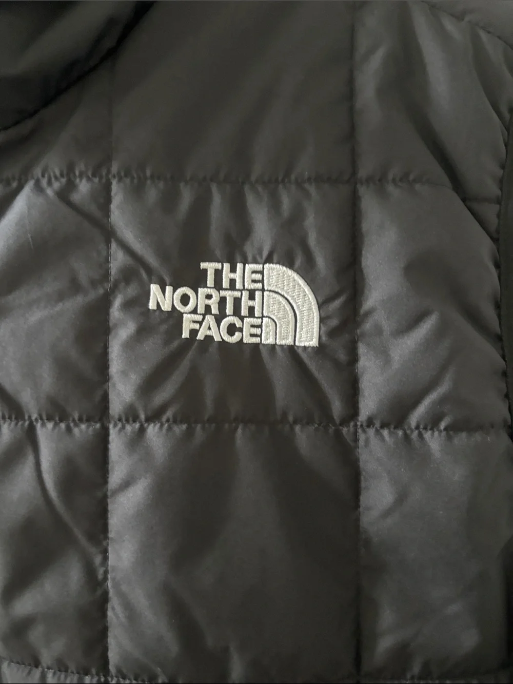 The North Face Junction Insulated Men’s Vest
